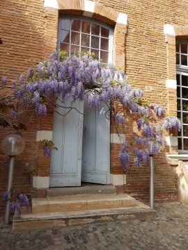 Les Jardins d'Arcadie à Toulouse : La résidence