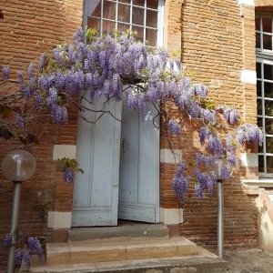Les Jardins d'Arcadie Toulouse