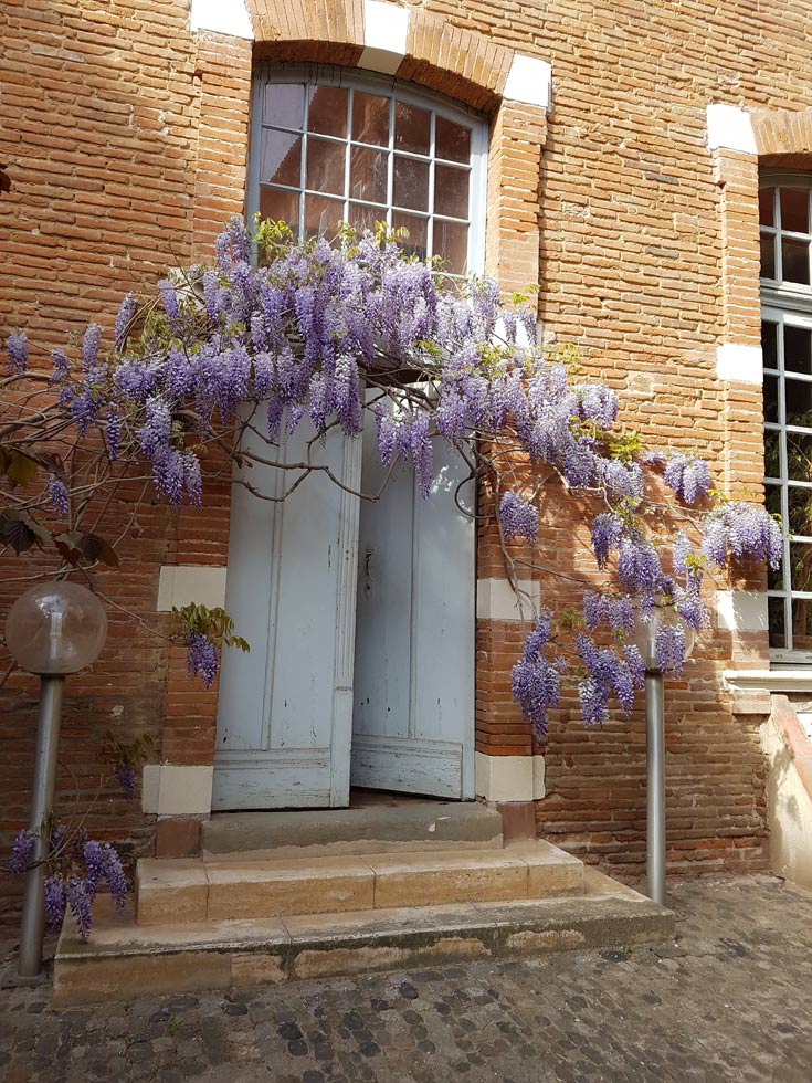 Les Jardins d'Arcadie Toulouse